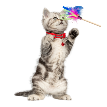 Mainan Bulu Kucing