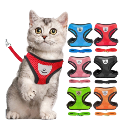 Tali Kucing